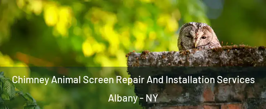  Chimney Animal Screen Repair And Installation Services Albany - NY