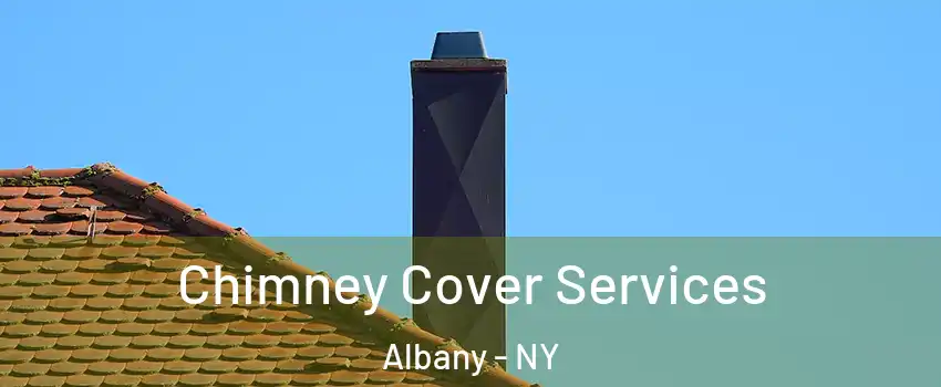  Chimney Cover Services Albany - NY