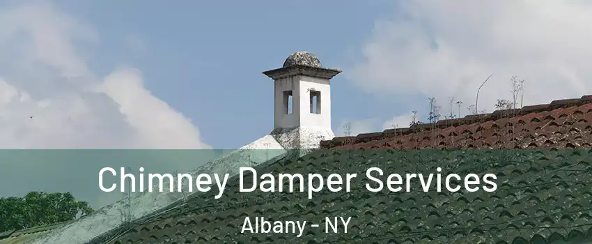  Chimney Damper Services Albany - NY