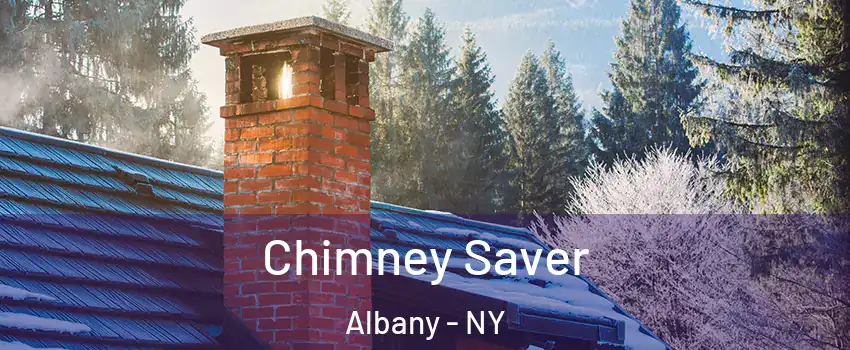  Chimney Saver Albany - NY