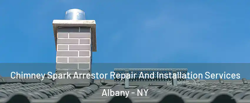 Chimney Spark Arrestor Repair And Installation Services Albany - NY