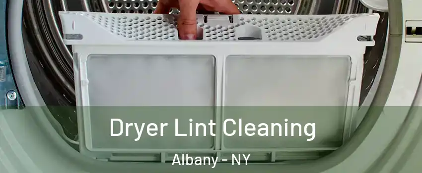  Dryer Lint Cleaning Albany - NY