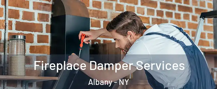  Fireplace Damper Services Albany - NY