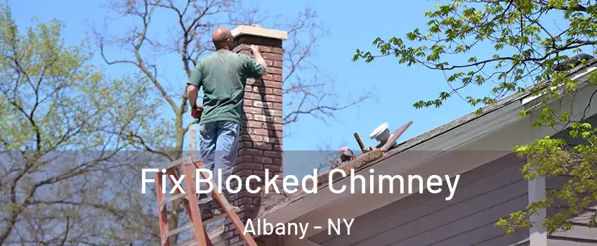  Fix Blocked Chimney Albany - NY