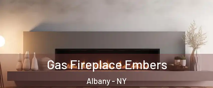  Gas Fireplace Embers Albany - NY