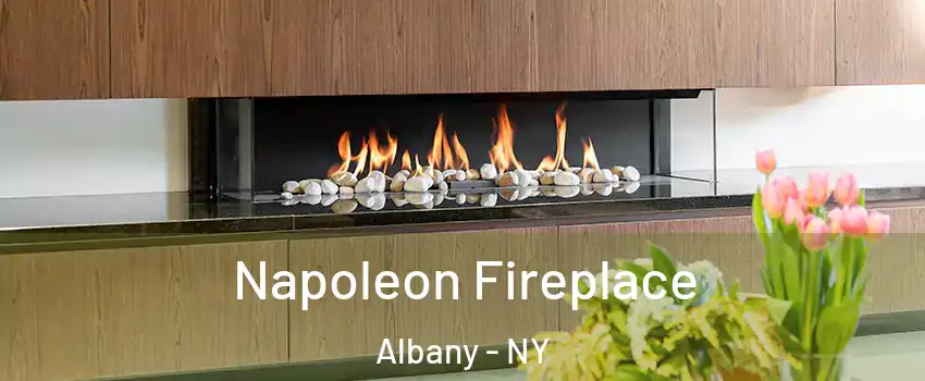  Napoleon Fireplace Albany - NY