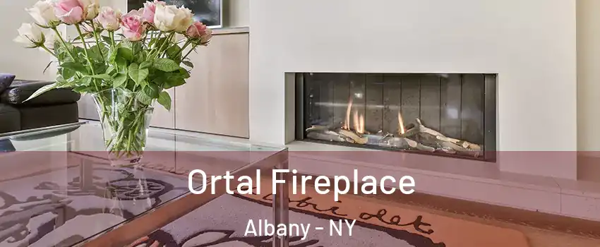  Ortal Fireplace Albany - NY